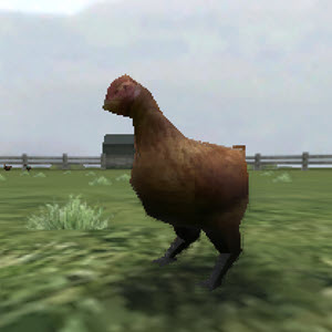 Crazy Chicken 3D icon
